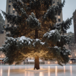 Norway spruce standing tall with sparkling Christmas lights and snow-covered trunk at Rockefeller Center.