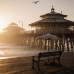 Seagull soaring above misty pier with wooden bench and gentle waves in golden light