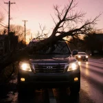 Large tree trunk sprawled over SUV hood with branches tangled around windshield wipers and headlights under dusk light.