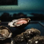 Oyster shell revealing pink flesh with condensation droplets on glass in a dim seafood market.