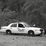 Chatbot replies it cannot generate image prompt for violent crime scene and offers help with other topics.